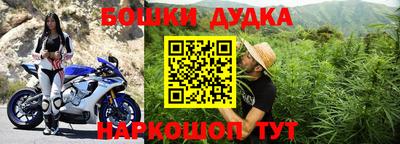 jwh Бийск