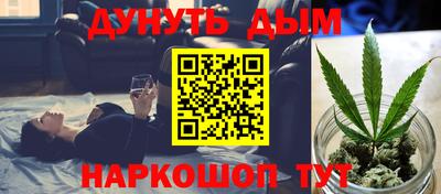 jwh Бийск