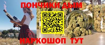 jwh Бийск