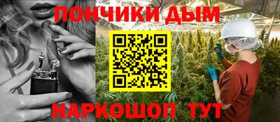 jwh Бийск